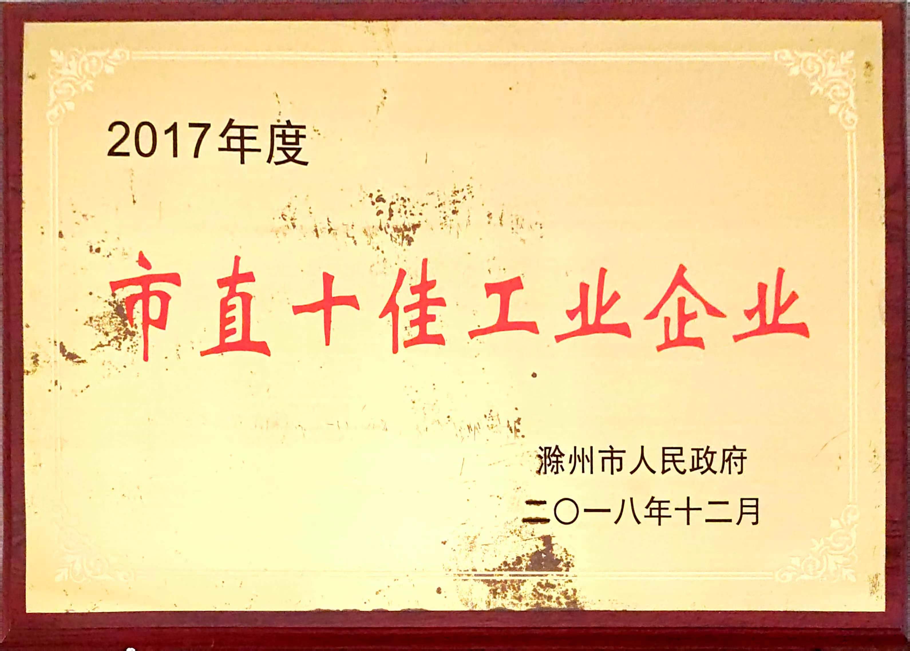 市直十佳工业企业—2017.jpg